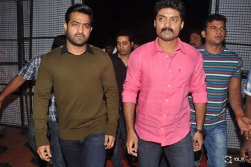 Temper Movie Audio Launch